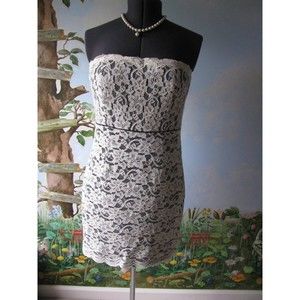 Diane von Furstenberg Cream and Black Lace Strapless Dress Size 14 New